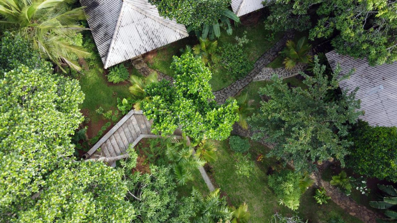 Into The Blue - Yoga Included & Walk To 3 Beaches Tangalle Exterior photo